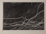151